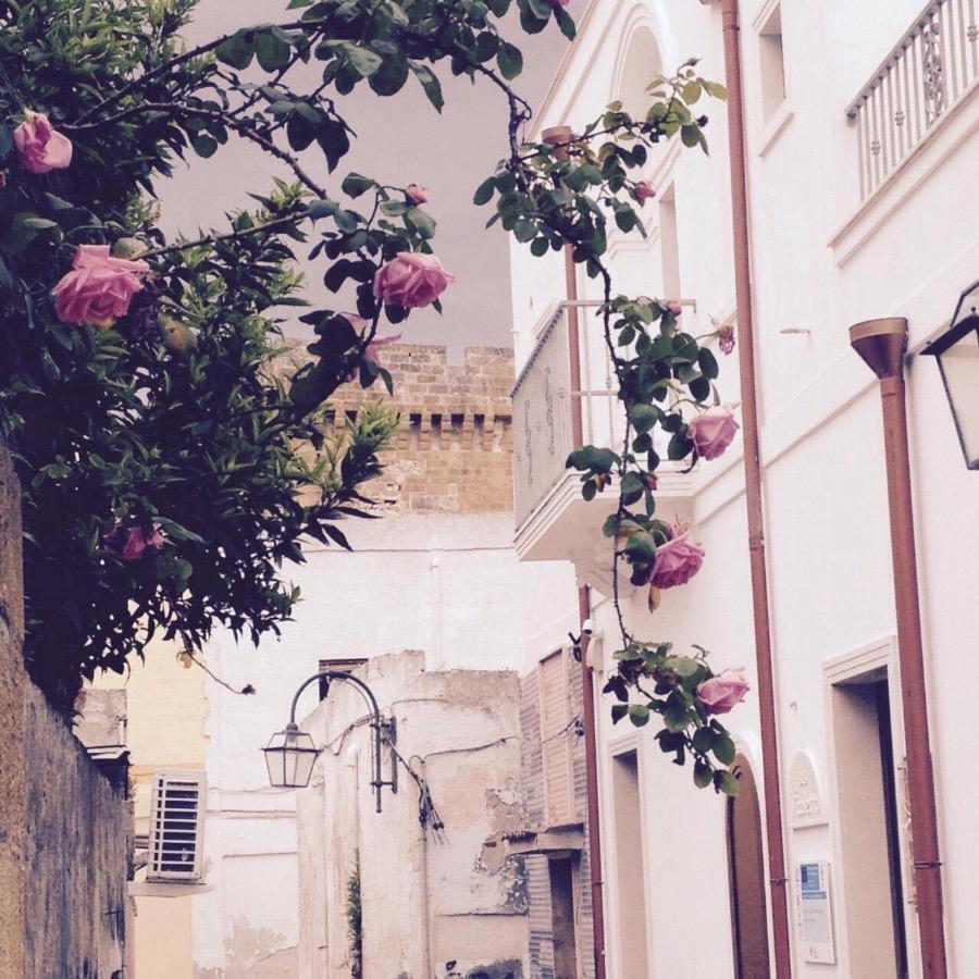Bed and Breakfast Il Vicoletto Pulsano Exterior foto